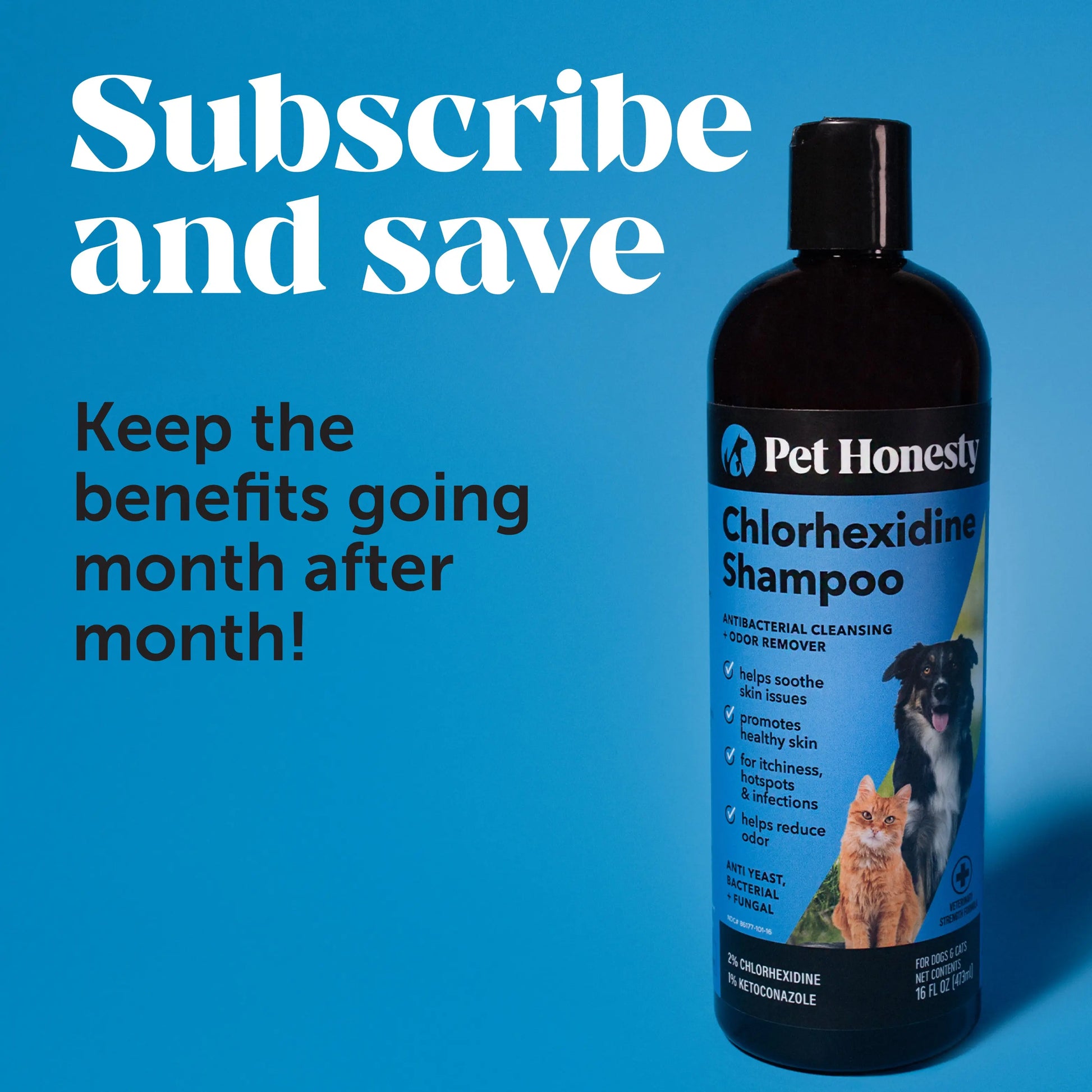Pet Honesty Chlorhexidine Cat & Dog Seasonal Itch Relief Shampoo, for Allergies, Itching, Skin and Coat Support Helps Shedding, Hot Spots, and Deodorizing Dog, Cat & Kitten Shampoo & Grooming Supplies for Bath