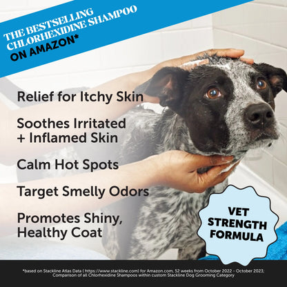 Pet Honesty Chlorhexidine Cat & Dog Seasonal Itch Relief Shampoo, for Allergies, Itching, Skin and Coat Support Helps Shedding, Hot Spots, and Deodorizing Dog, Cat & Kitten Shampoo & Grooming Supplies for Bath