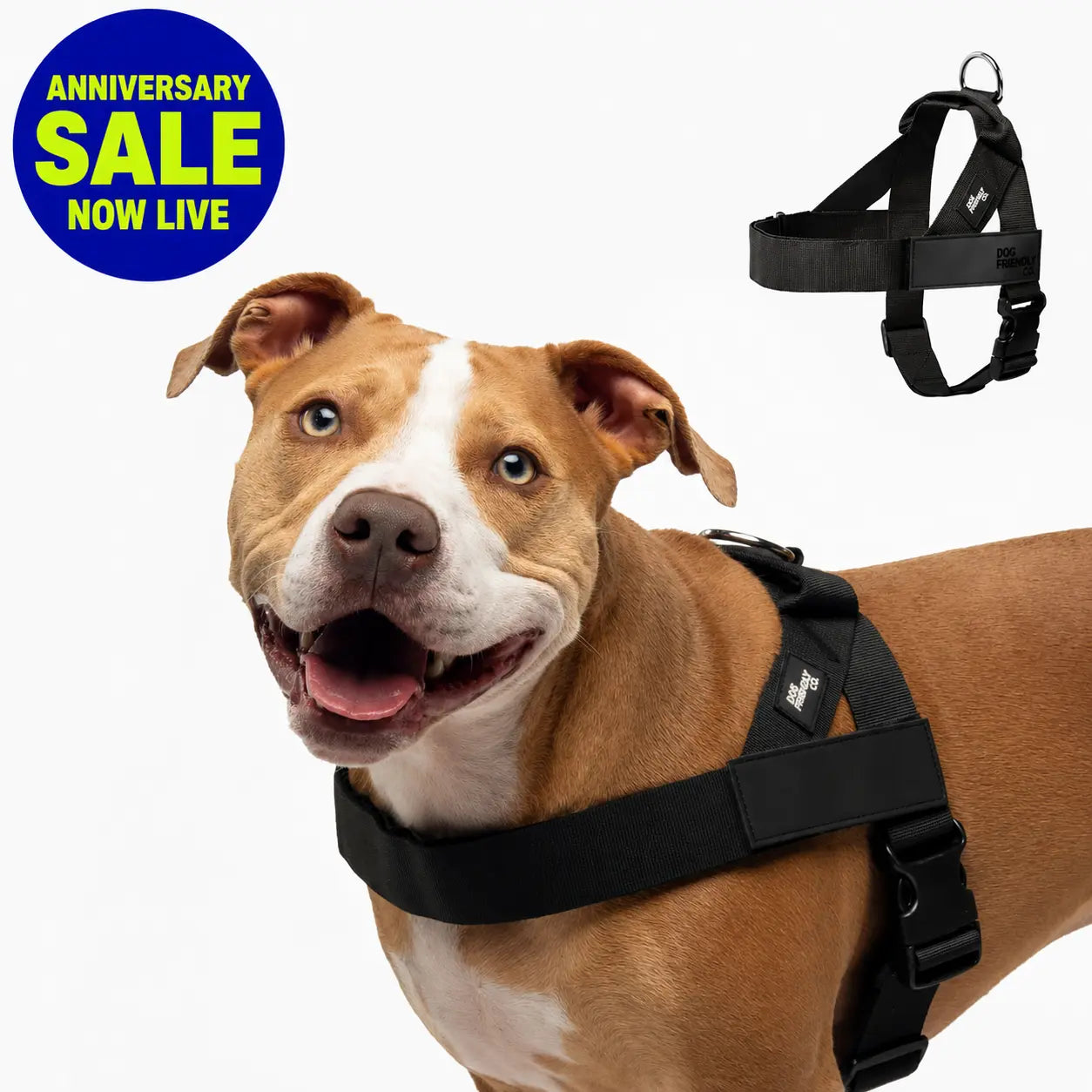 Dog Friendly Co. Harness - Easy to Fit No-Pull Design - Safe Secure and Comfortable - Ideal for All Dogs - Chafe-Resistant Lightweight Straps - Adjustable Straps for Perfect Fit